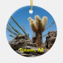 Search for tucson christmas tree decorations Cactus