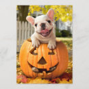Search for funny halloween invitations Pets