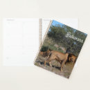 Search for botswana office supplies Nature