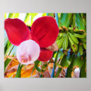 Search for blissful posters Garden