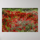 Search for wildflower abstract posters Nature