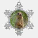 Search for furry animal christmas tree decorations Wildlife