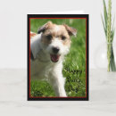 Search for jack russell terrier cards Dog