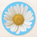Search for daisy coasters Daisies