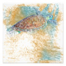 Search for sea turtle art Coastal