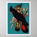 Search for black cockatoo posters Australia