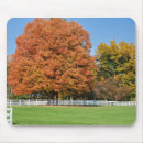 Search for oaks mousepads Nature
