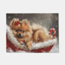 Search for pomeranian doormats Animal