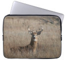 Search for trophy electronics Buck