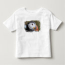 Search for pelagic tshirts Black