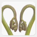 Search for natural world stickers Cutout