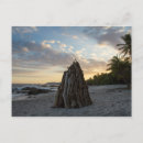 Search for log postcards Sea