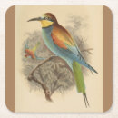Search for european coasters Bird