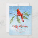 Search for red cardinal christmas cards Calligraphy