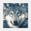 Search for wolves magnets Beautiful