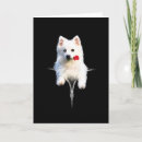 Search for spitz cards Puppy