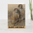 Search for prairie dog cards Animals