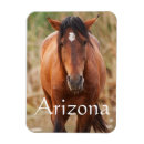 Search for mustang magnets Equine