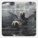 Search for tufts stickers Wildlife