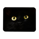 Search for scary home living Black cat