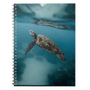 Search for tortoise notebooks Galapagos