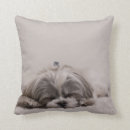 Search for shih tzu cushions Pet