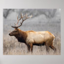 Search for scottish wildlife art Animals