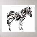 Search for jungle wall posters Zebra
