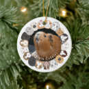 Search for guinea pig christmas tree decorations Cavies