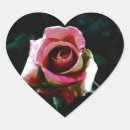 Search for rose drawing stickers Floral
