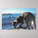 Search for spot art Kitty