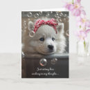 Search for samoyed dog postcards Cute