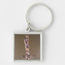 Search for totem key rings 19th
