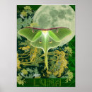 Search for luna moth art Green