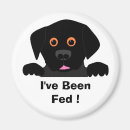 Search for dog fed magnets Puppy