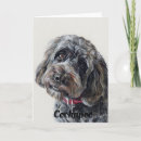 Search for cockapoo cards Poodle