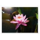Search for lilypad cards Garden