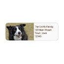Search for border collies return address labels Canine