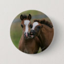 Search for at play badges Horse