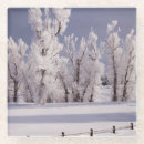 Search for colorado coasters Landscape