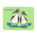 Search for foote magnets Cartoon