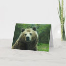 Search for big hug cards Bear