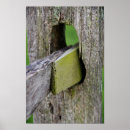 Search for weather posters Rustic