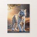 Search for white tiger puzzles Photography