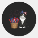 Search for 4th of july cat stickers Stars and stripes