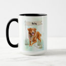 Search for tolling mugs Scotia
