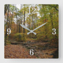 Search for fall clocks Nature