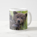 Search for big brown bear mugs Young animal