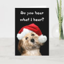 Search for poodle christmas cards Xmas