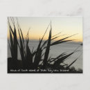 Search for flax postcards Scenery